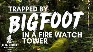 BIGFOOT Night Assault Trapped In A Fire Watch Tower | Over 1 Hour SASQUATCH ENCOUNTERS PODCAST