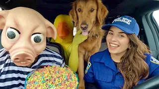 Rubber Ducky Surprises Pig & Puppy With Car Ride Chase!