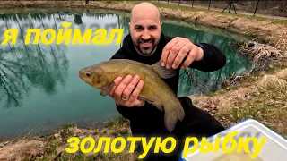 я поймал золотую рыбку #familyvlog #nature #природа #ribalka