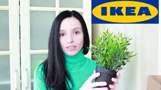 IKEA. ПОКУПКИ ИЗ ИКЕА. НОВИНКИ ИКЕА 2019