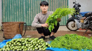 Harvesting beef and vegetables, cucumber, go to market, daily life