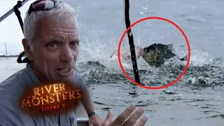 Piranhas Devour A Whole Chicken | PIRANHAS | River Monsters