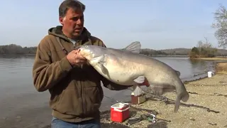 Basic Guide To Catching Big Catfish