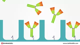 nSMOL – How Nano Technology and LC-MS Improved Speed and Accuracy of mAb Bioanalysis