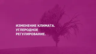 Изменение климата. Углеродное регулирование