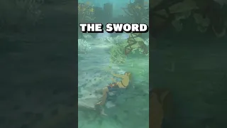 EASY TRICK To Help Beat The Trials of the Sword - Zelda BOTW #shorts