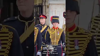 End of Day Inspection at Horse Guards...one Gunner has the giggles and there's a 'Make Way' 07.07.23