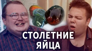 СТОЛЕТНИЕ ЯЙЦА