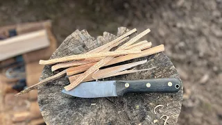 LT Wright Genesis in flat grind (Best bushcraft knife IMO)