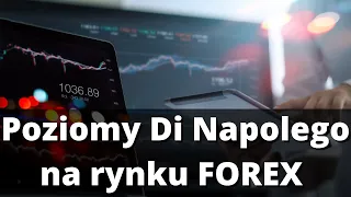 Poziomy Di Napolego na rynku FOREX. Układ harmoniczny na Bitcoinie