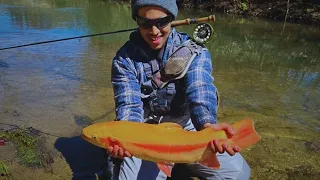Opening Day of PA Trout Season 2024 | MASSIVE Golden Rainbow Trout!!! | Fly Fishing Western PA