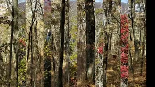 AT Hike Nov.2019 Fontana Dam to Stecoah Gap