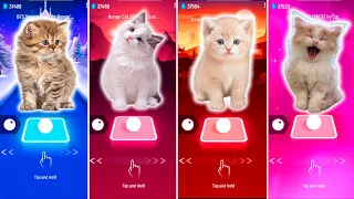 CUTE CATS BTS SAVAGE LOVE & BTS FAKE LOVE & SHAKIRA WAKA WAKA & BLACKPINK JISOO FLOWER & TILES HOP