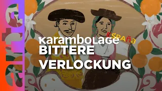 Die Bitterorange: eine bittere kleine Sonne | Karambolage España | ARTE