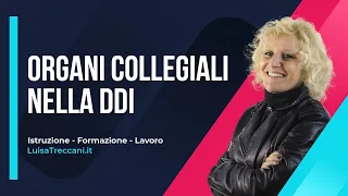 Organi collegiali nella DDI