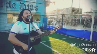 Video viral: un músico le cantó "La Mano de Dios" a Maradona en su cortejo