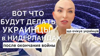 Что ожидает украинцев в Нидерландах после окончания войны?