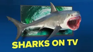 Shark Week 2020: Preview the Tidal Wave of Razor-Sharp Shows | Sharkfest 2020