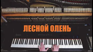 Лесной Олень (Аида Ведищева из кинофильма "Ох уж эта Настя!" На фортепиано