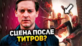 Сцена после титров Человека-паука 3: Нет пути домой раскрыта? Новый спайдерверс!