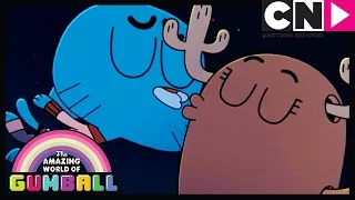 Gumball | Pals Before Gals | Cartoon Network