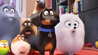 Тайная жизнь домашних животных  The Secret Life of Pets//Funny baby Забавная малышка