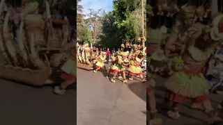 Disneyland MAGIC HAPPENS parade drums made by PASIFIKA DRUMS