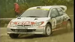 Peugeot 206 WRC - The Champion Lion