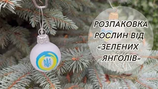 Перший досвід замовлення рослин через інтернет від Зелених Янголів.