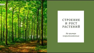 Строение и рост растений (часть 1)