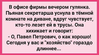 Кто то Полез Секретарше в Трусики! Сборник Свежих Смешных Жизненных Анекдотов!