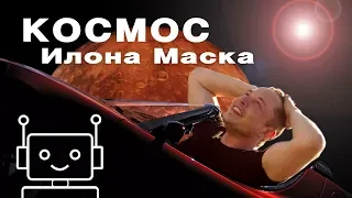 Космос Илона Маска