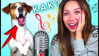 МОЯ СОБАКА ПОЁТ КАК НАУЧИТЬ СОБАКУ ПЕТЬ - дрессировка собак | Elli Di Pets