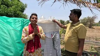 मुरघास silage मक्यापासून कसा तयार करावा व तयार झाल्यानंतर काय काळजी घ्यावी