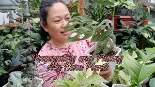 Vlog #74: Propagating and Flexing My Rare Plants (May 15, 2021)