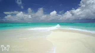 The Perfect Paradise Beach Scene in 4K White Sand, Blue Water & Waves   Two Hours 720P HD