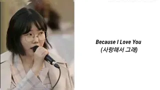 Because I Love You ( AKMU SUHYUN) Lirik