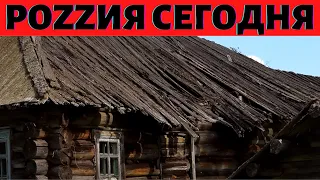 Стрим Старого Дикобраза Россия сегодня 17 февраля  2023 года 359-й день войны России против Украины.