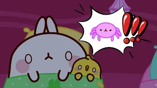 Watch out for Molang and Piu Piu, a spider! 🕷️ | Funny Compilation For Kids