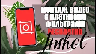 Как я монтирую видео в InShot для Инстаграм? Бесплатно платные фильтры