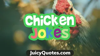 Funny Silly Chicken Jokes and Puns - Laugh Out Loud