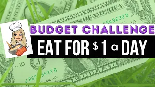 TRYING TO EAT FOR ONE DOLLAR A DAY | EXTREME BUDGET CHALLENGE