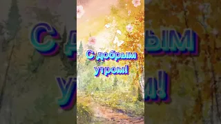 С Добрым утром! Солнечный день!