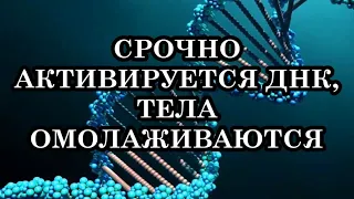 Высшие Силы ускоренно готовят часть людей к переводу в четвертое измерение. Срочно активируются ДНК