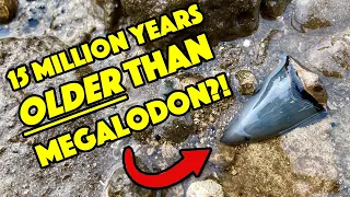 We Go Fossil Hunting and Find Shark Teeth Older than #Megalodon!! #FossilHunting