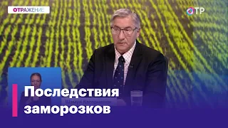 К чему привели неожиданные майские заморозки? И что будет с ценами?