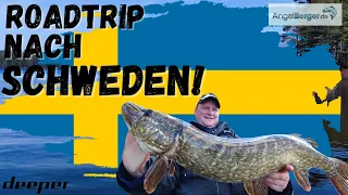 Abenteuer Schweden: Auf Angelreise mit Zelt und Belly Boat! Angeln auf Hecht und Barsch im Frühjahr