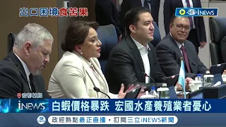 與中建交卻碰壁! 宏都拉斯白蝦價格暴跌 當地水產養殖業者憂心 宏國總統親赴中國 求履行建交承諾"買白蝦"│記者  王少筠│【國際局勢】20230611│三立iNEWS