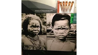 Malaysia: Who are the Orang Asli (Negritos) of SE Asia? & Ethnic Diversity