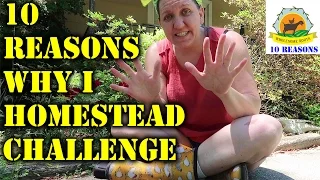 10 Reasons Why  I Homestead  Challenge!